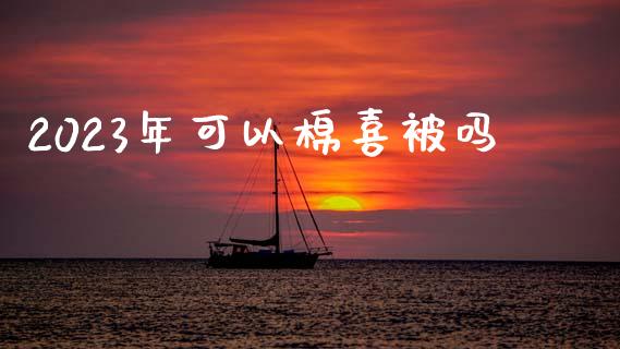 2023年可以棉喜被吗_https://www.qdlswl.com_股指_第1张