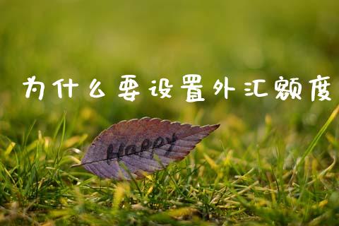 为什么要设置外汇额度_https://www.qdlswl.com_理财_第1张