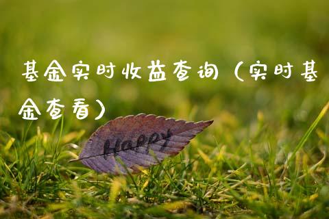基金实时收益查询（实时基金查看）_https://www.qdlswl.com_理财_第1张