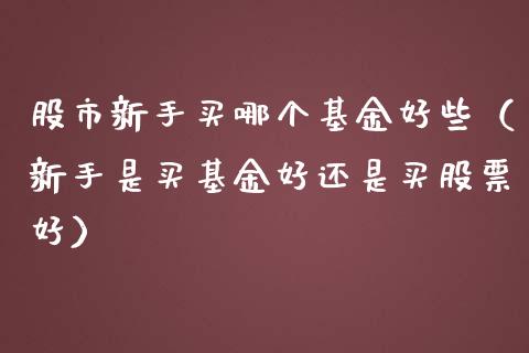 股市新手买哪个基金好些（新手是买基金好还是买股票好）_https://www.qdlswl.com_理财_第1张