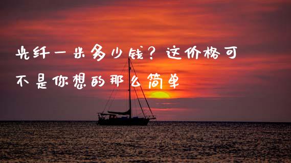 光纤一米多少钱？这价格可不是你想的那么简单_https://www.qdlswl.com_内盘_第1张