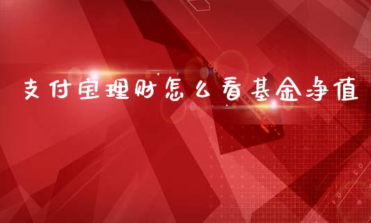 支付宝理财怎么看基金净值_https://www.qdlswl.com_理财_第1张