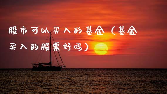 股市可以买入的基金（基金买入的股票好吗）_https://www.qdlswl.com_基金_第1张