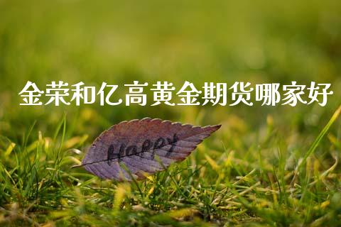 金荣和亿高黄金期货哪家好_https://www.qdlswl.com_股指_第1张