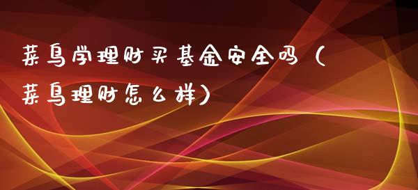 菜鸟学理财买基金安全吗（菜鸟理财怎么样）_https://www.qdlswl.com_基金_第1张
