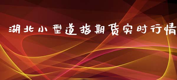 湖北小型道指期货实时行情_https://www.qdlswl.com_期货_第1张