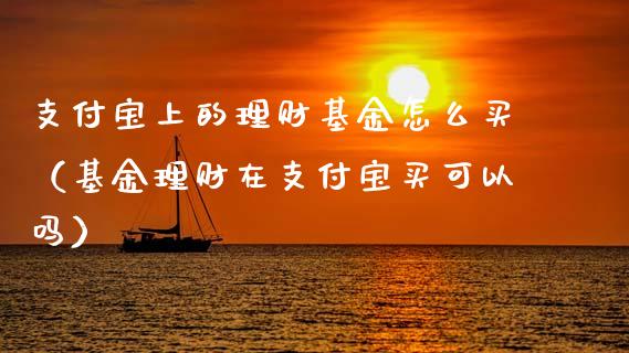 支付宝上的理财基金怎么买（基金理财在支付宝买可以吗）_https://www.qdlswl.com_理财_第1张
