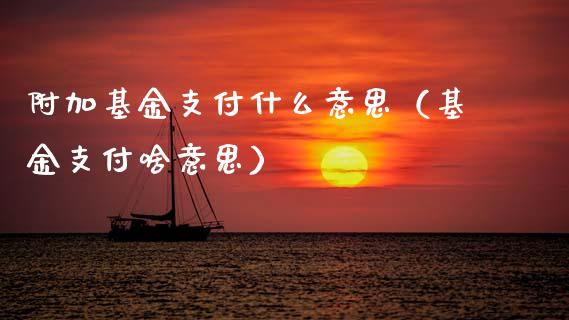 附加基金支付什么意思（基金支付啥意思）_https://www.qdlswl.com_基金_第1张