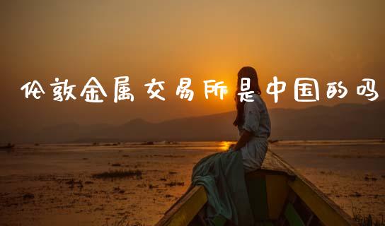 伦敦金属交易所是中国的吗_https://www.qdlswl.com_直播_第1张
