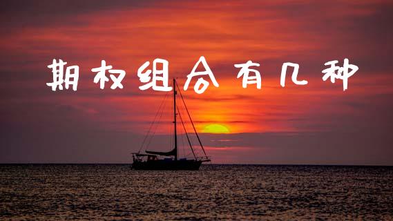 期权组合有几种_https://www.qdlswl.com_理财_第1张
