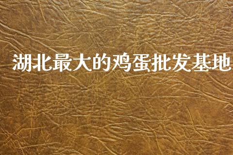 湖北最大的鸡蛋批发基地_https://www.qdlswl.com_期货_第1张