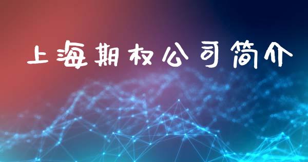 上海期权公司简介_https://www.qdlswl.com_股指_第1张