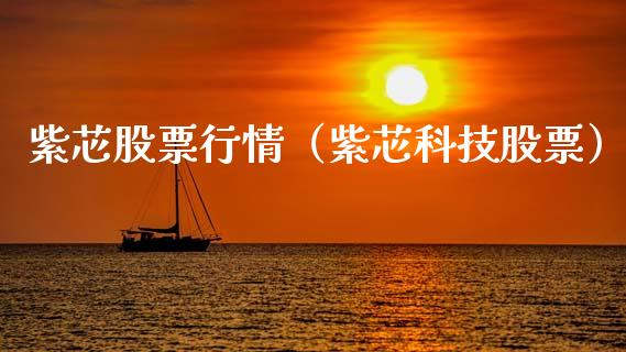 紫芯股票行情（紫芯科技股票）_https://www.qdlswl.com_外盘_第1张