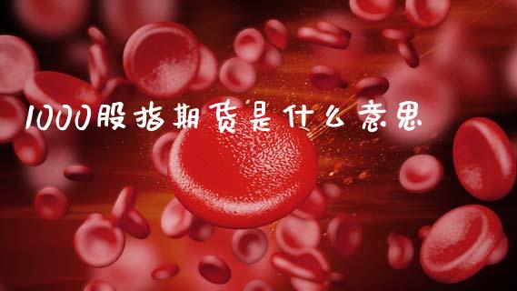 1000股指期货是什么意思_https://www.qdlswl.com_股指_第1张