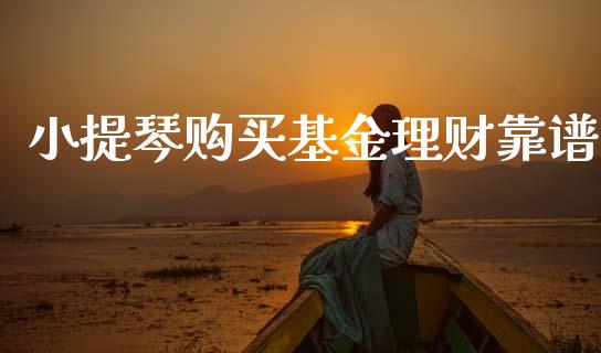 小提琴购买基金理财靠谱_https://www.qdlswl.com_理财_第1张