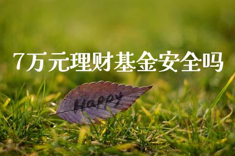 7万元理财基金安全吗_https://www.qdlswl.com_基金_第1张