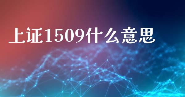 上证1509什么意思_股指_第1张_青岛财经网 上证1509什么意思_https://www.qdlswl.com_股指_第1张