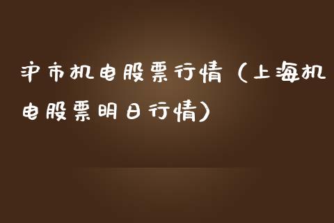 沪市机电股票行情（上海机电股票明日行情）_https://www.qdlswl.com_外盘_第1张