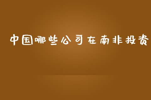 中国哪些公司在南非投资_https://www.qdlswl.com_理财_第1张