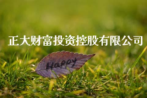 正大财富投资控股有限公司_https://www.qdlswl.com_直播_第1张