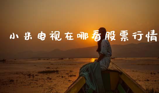 小米电视在哪看股票行情_https://www.qdlswl.com_内盘_第1张