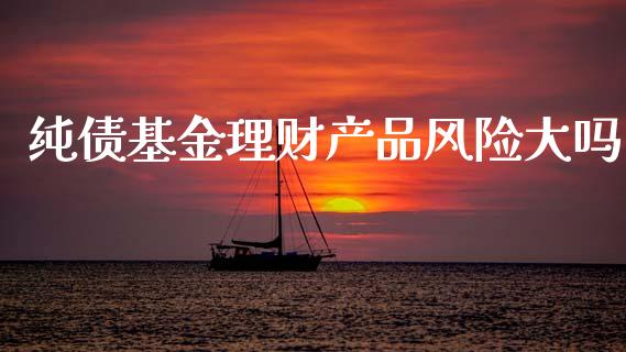 纯债基金理财产品风险大吗_https://www.qdlswl.com_基金_第1张