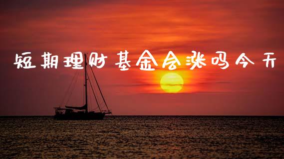 短期理财基金会涨吗今天_https://www.qdlswl.com_理财_第1张