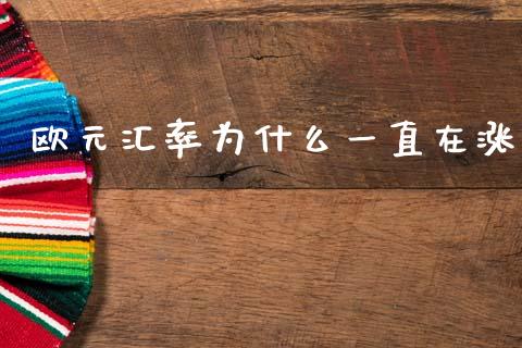 欧元汇率为什么一直在涨_https://www.qdlswl.com_股指_第1张