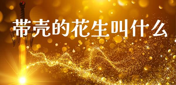 带壳的花生叫什么_https://www.qdlswl.com_股指_第1张