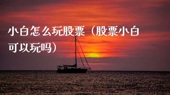 小白怎么玩股票（股票小白可以玩吗）_https://www.qdlswl.com_外盘_第1张