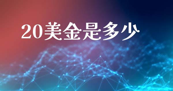 20美金是多少_https://www.qdlswl.com_股票_第1张