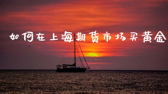 如何在上海期货市场买黄金_https://www.qdlswl.com_股指_第1张