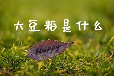 大豆粕是什么_https://www.qdlswl.com_期货_第1张