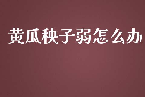 黄瓜秧子弱怎么办_https://www.qdlswl.com_期货_第1张