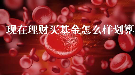 现在理财买基金怎么样划算_https://www.qdlswl.com_理财_第1张