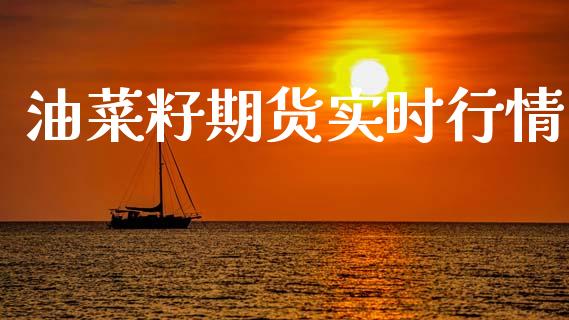 油菜籽期货实时行情_https://www.qdlswl.com_股指_第1张