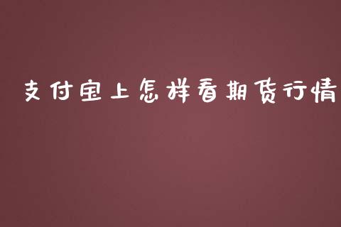 支付宝上怎样看期货行情_https://www.qdlswl.com_期货_第1张