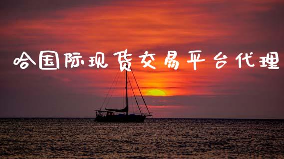 哈国际现货交易平台代理_https://www.qdlswl.com_股指_第1张
