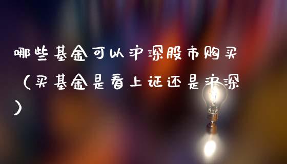哪些基金可以沪深股市购买（买基金是看上证还是沪深）_https://www.qdlswl.com_基金_第1张