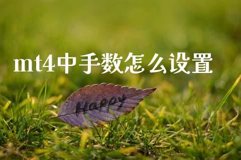 mt4中手数怎么设置_https://www.qdlswl.com_内盘_第1张
