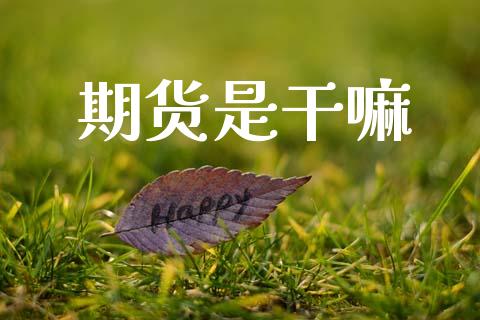 期货是干嘛_https://www.qdlswl.com_股指_第1张
