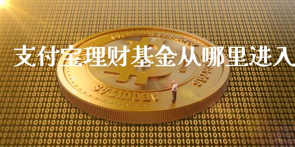 支付宝理财基金从哪里进入_https://www.qdlswl.com_基金_第1张