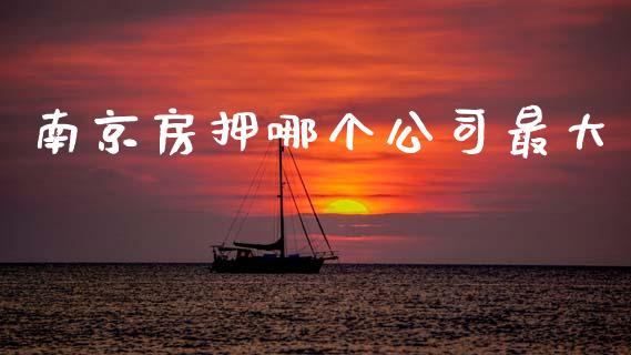 南京房押哪个公司最大_https://www.qdlswl.com_股指_第1张