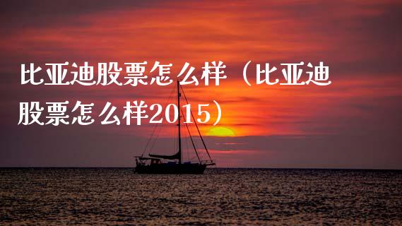 比亚迪股票怎么样（比亚迪股票怎么样2015）_https://www.qdlswl.com_内盘_第1张