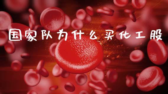 国家队为什么买化工股_https://www.qdlswl.com_股指_第1张