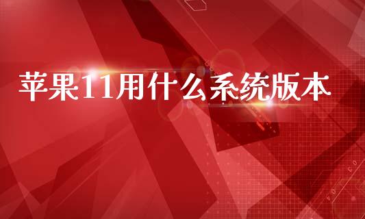 苹果11用什么系统版本_https://www.qdlswl.com_股票_第1张
