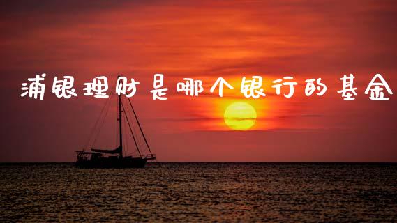 浦银理财是哪个银行的基金_https://www.qdlswl.com_理财_第1张