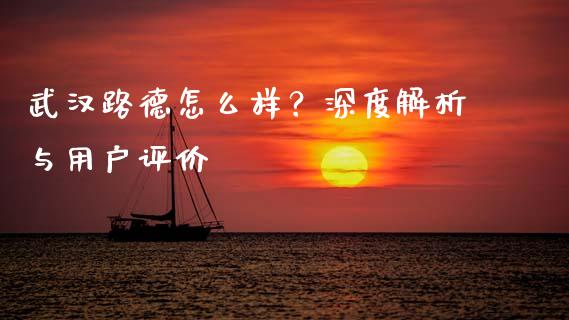 武汉路德怎么样？深度解析与用户评价_https://www.qdlswl.com_股票_第1张