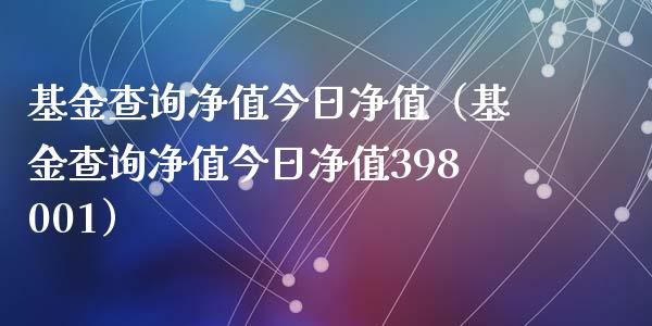 基金查询净值今日净值（基金查询净值今日净值398001）_https://www.qdlswl.com_基金_第1张