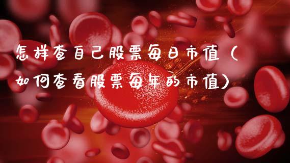 怎样查自己股票每日市值（如何查看股票每年的市值）_https://www.qdlswl.com_内盘_第1张